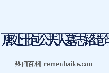 唐处士包公夫人墓志铭造句是什么意思的图片